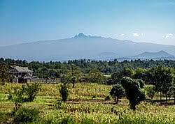 nyeri